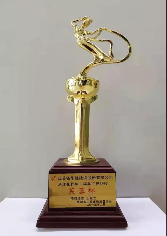 7、成都市芙蓉杯.jpg